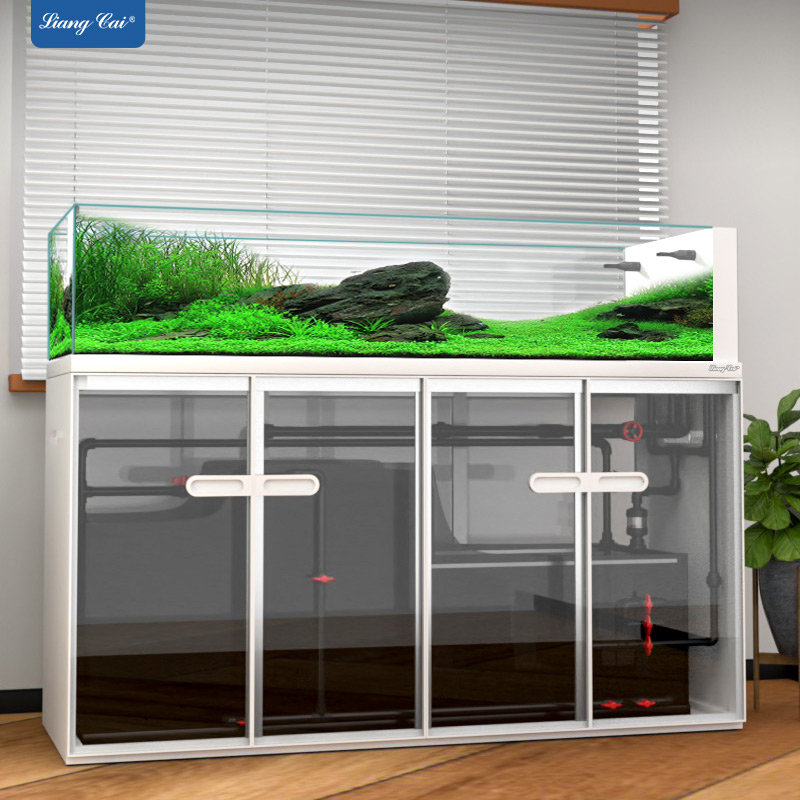 Aquarium Marine Fish For Sale - Grande estilo moderno tanque de peixes
