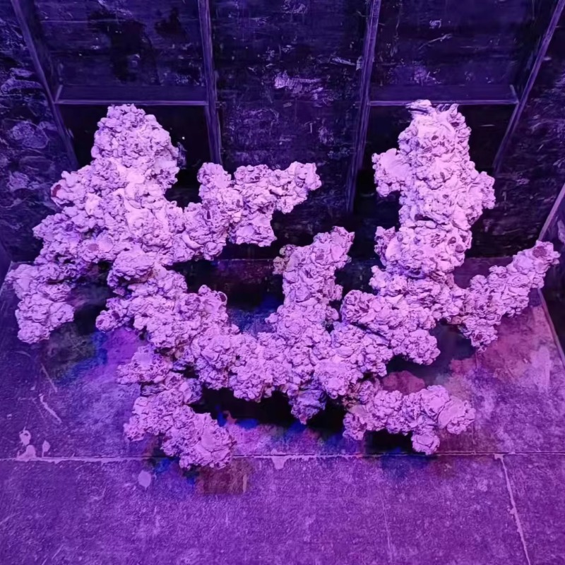 Pedras Decorativas para Aquári - Aquarium Marine Rock avaliação e preço