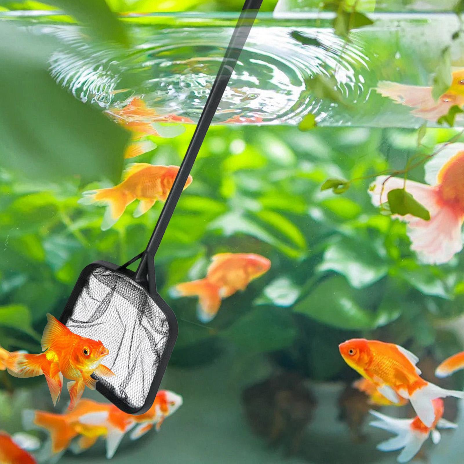 Redes para Limpeza de Piscinas - Aquarium Marine avaliação e preço
