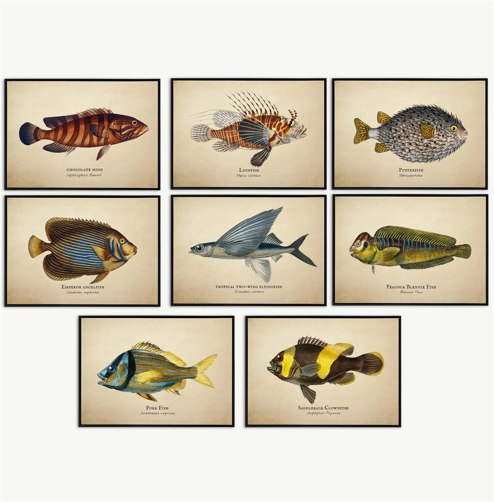 Quadros Vintage de Peixes Trop - Marine Life Aquariums avaliação e preço