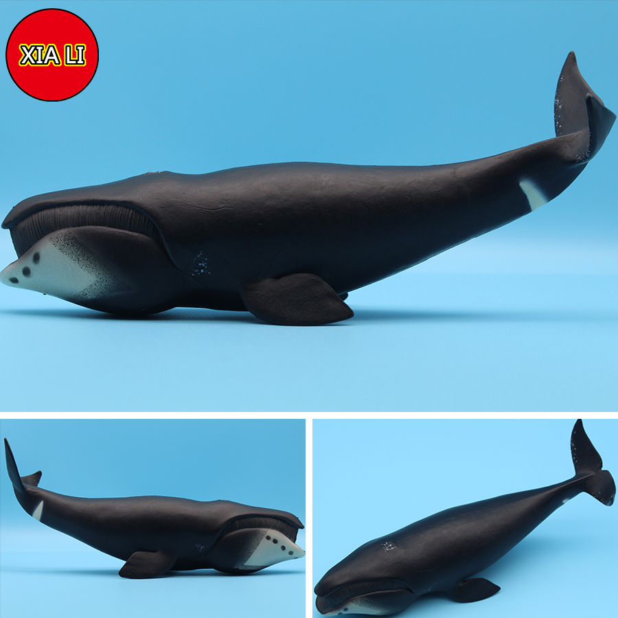 Figuras de Ação de Animais Mar - Marine Life Aquariums avaliação e preço