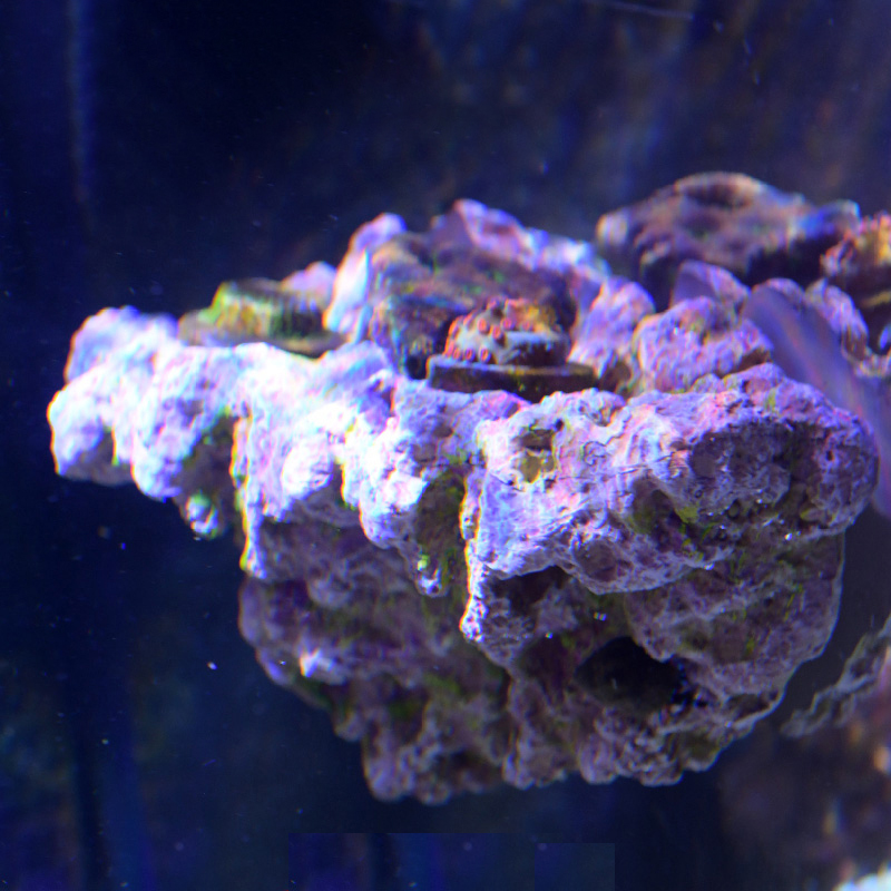 Vastocean aquário magnético co - Aquarium Marine Rock avaliação e preço