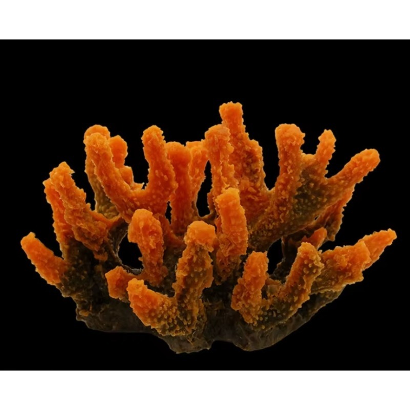 Decoração de Aquário de Recife - Aquarium Marine Rock avaliação e preço