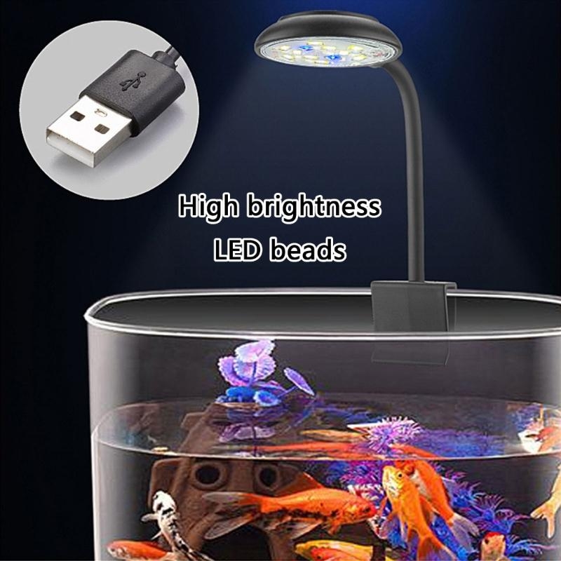 Ajustando o brilho Aquários LE - Marine Life Aquariums avaliação e preço