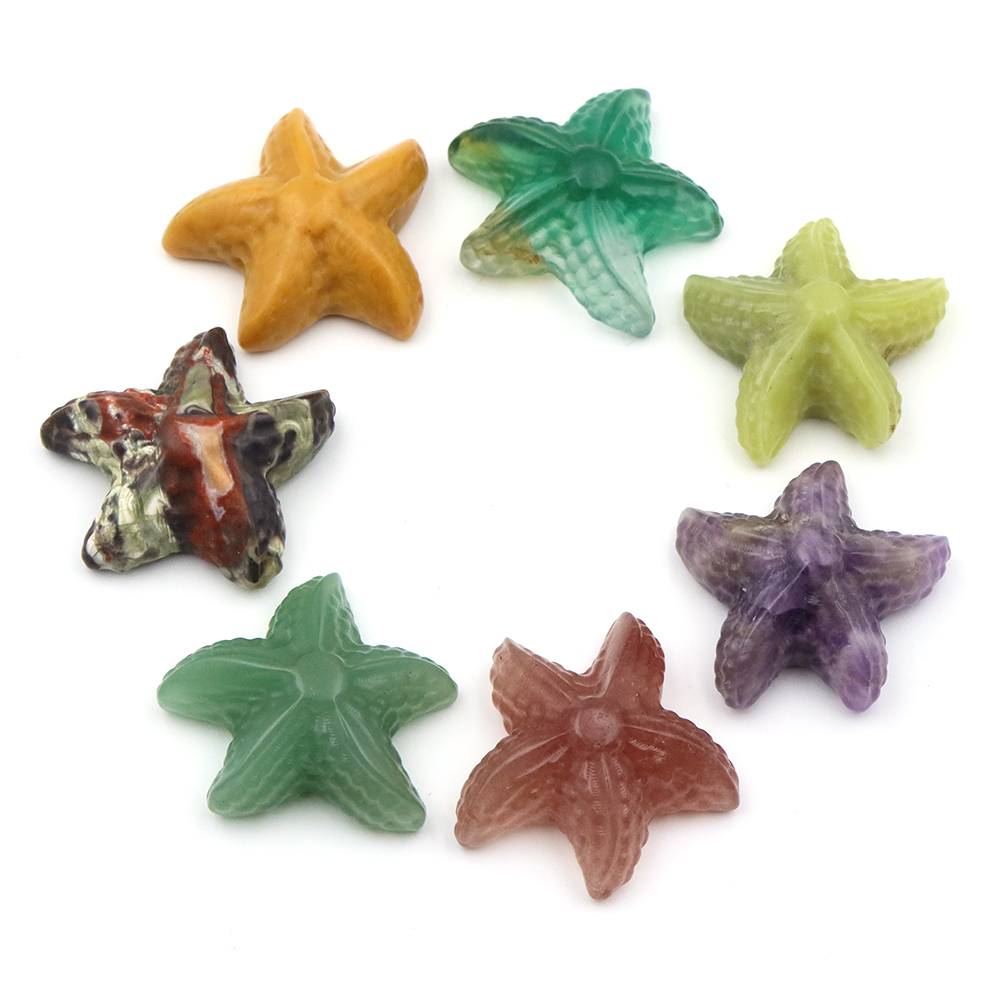 Estátua em forma de estrela do - Aquarium Marine avaliação e preço