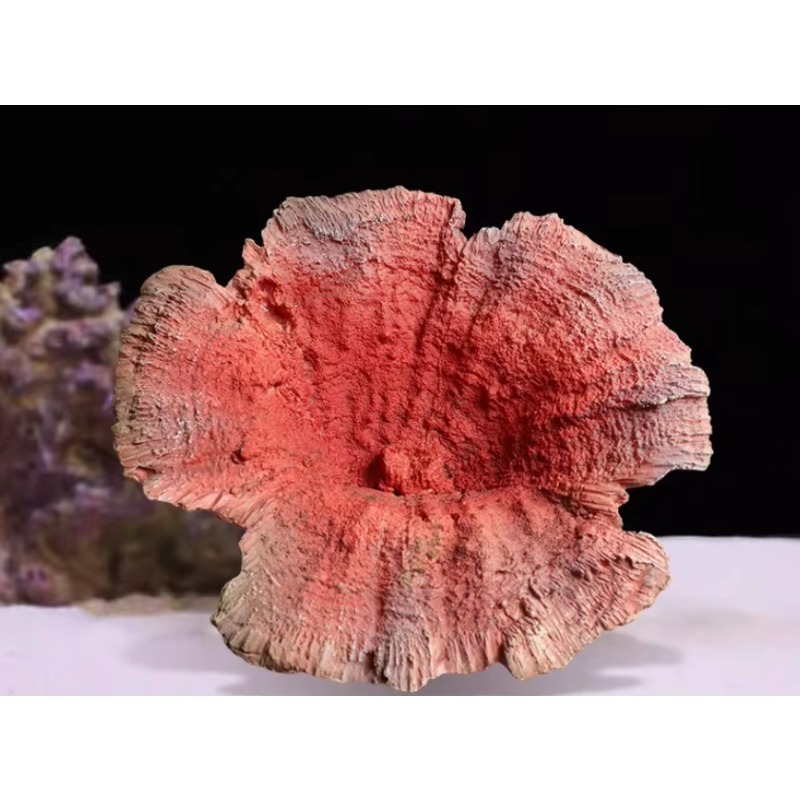 Decoração de Aquário Artesanal - Aquarium Marine Rock avaliação e preço