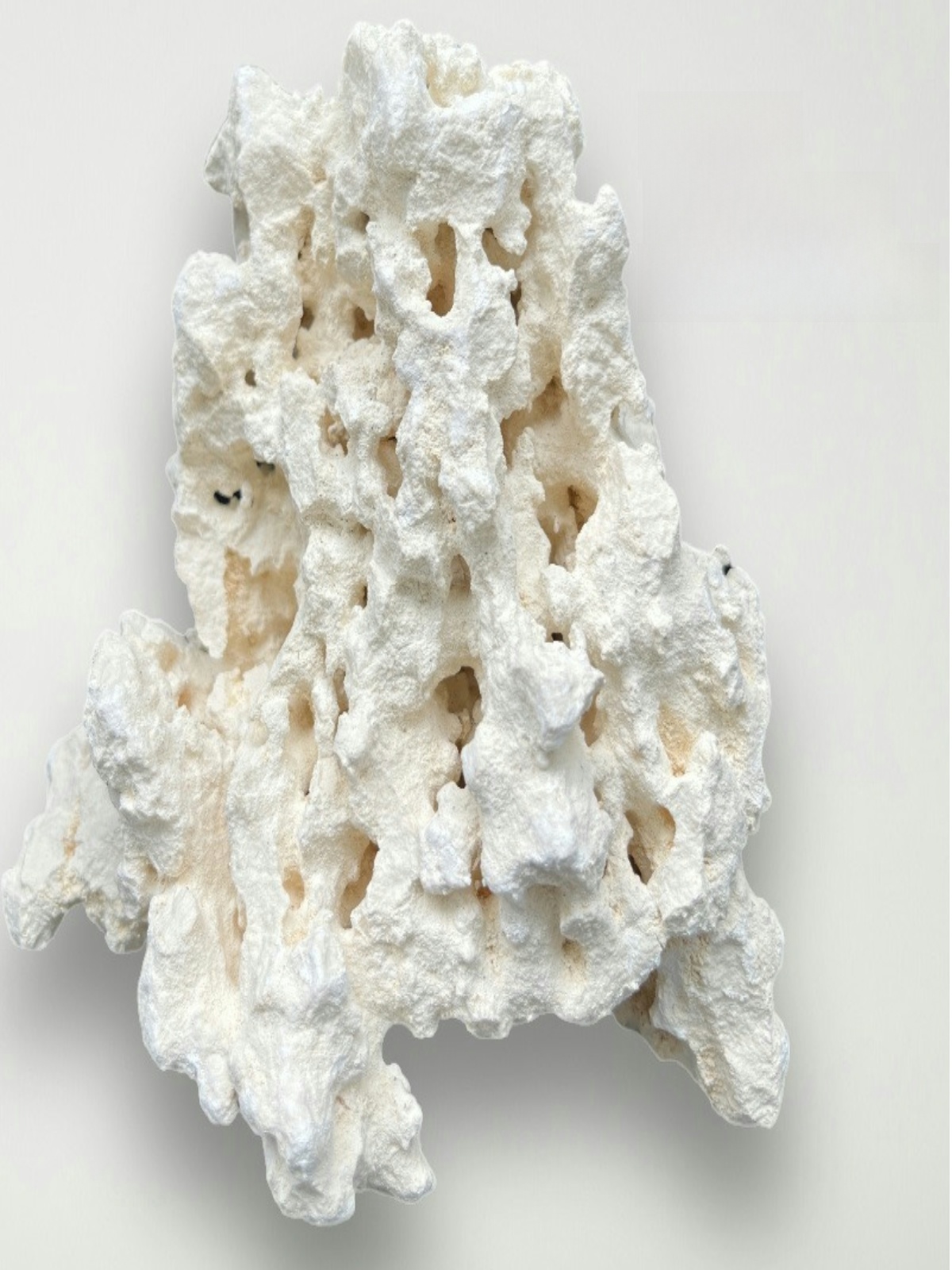 Pedra Coral Natural Kilago Dry - Aquarium Marine Rock avaliação e preço
