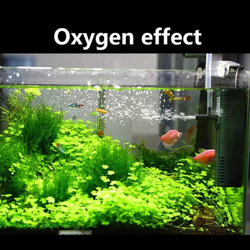 Sunsun-Mini Nano bomba interna - Marine Aquarium Uv Filter avaliação e preço