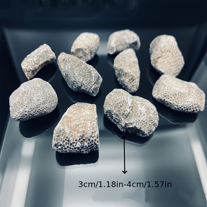 1 peça de Rocha de Coral Natur - Aquarium Marine Rock avaliação e preço