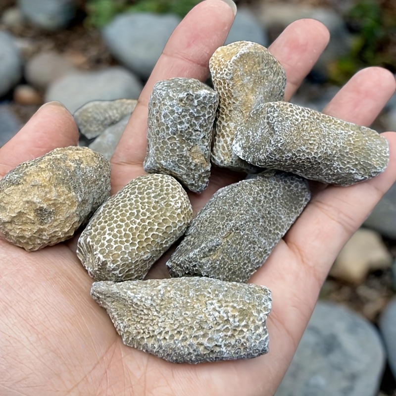 1 peça de Rocha de Coral Natur - Aquarium Marine Rock avaliação e preço